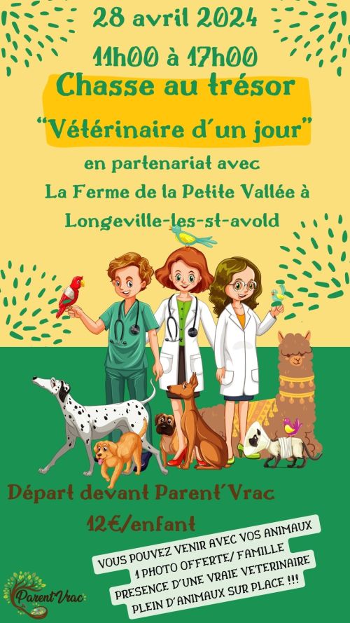 Chasse au trésor, Vétérinaire d'un jour